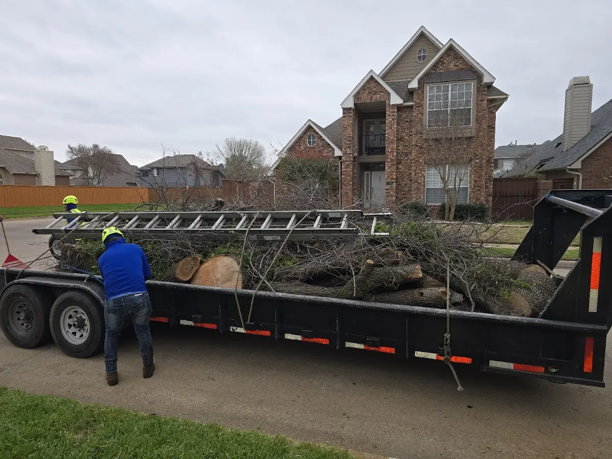 Expert Lot Clearing with proper safety equipment in Seadrift